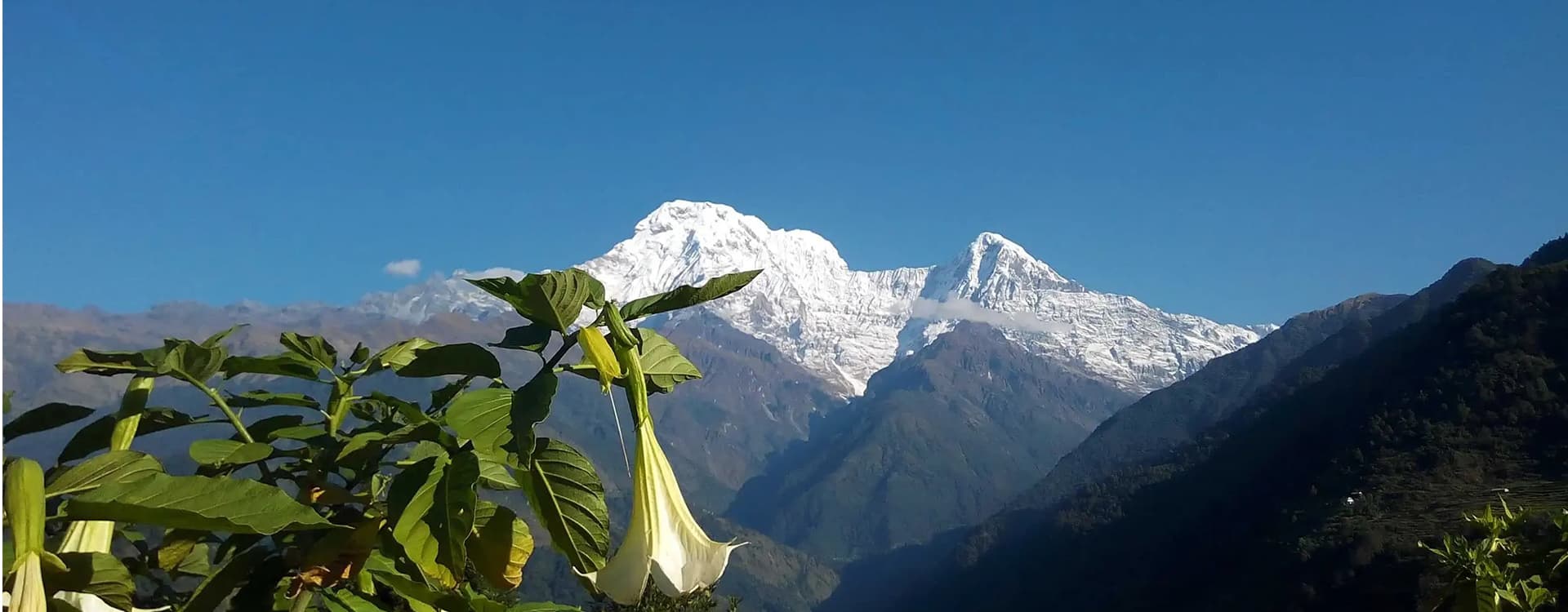 Ghandruk Trek