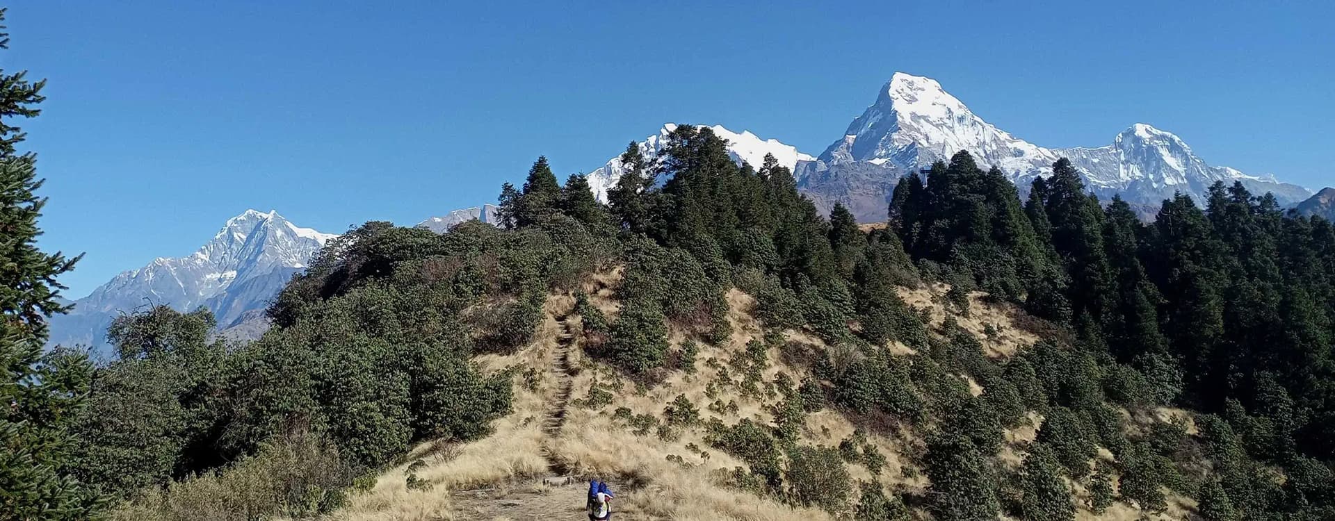 Mohare Danda Trek