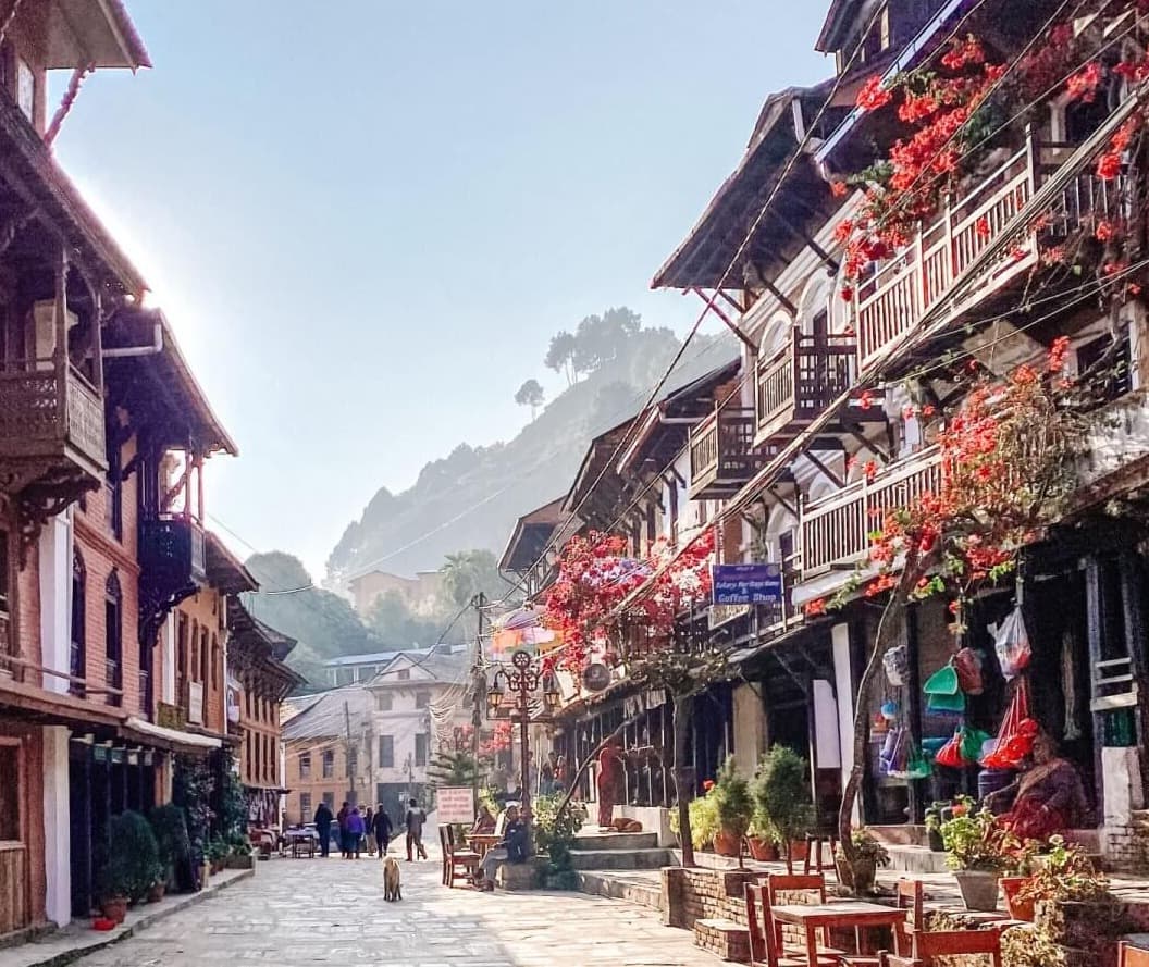 Explore the Timeless Beauty of Bandipur