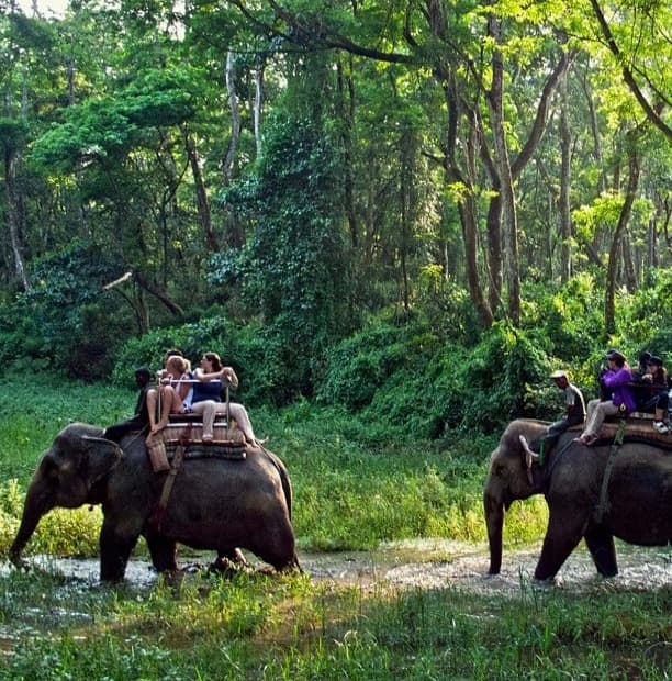 Bardiya Jungle Safari Tour - Travel Package in Nepal